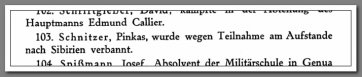 Fragment wykazu żydowskich powstańców z książki d-ra N. M. Gelbera 'Die Juden und der polnische Aufstand 1863'.