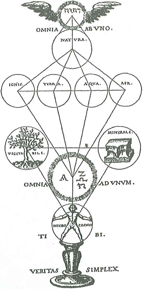 Tablica z dzieła Theophila Schweighartsa „Speculum Rhodostauroticum” odkryta we wrocławskiej Bibliotece Uniwersyteckiej