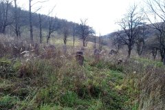 ustrzyki-dolne-cmentarz-33