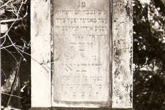 skanuj0147
