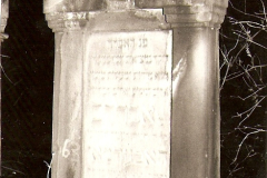 skanuj0155