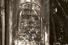 skanuj0163