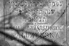 0041