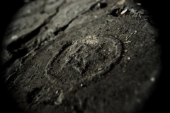 phoca_thumb_l_DSC_0380_filtered