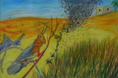 IMG_9542a
