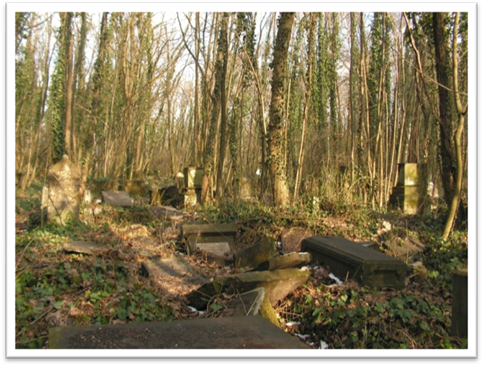 Rysunek 18. Natura góruje nad betonowymi macewami