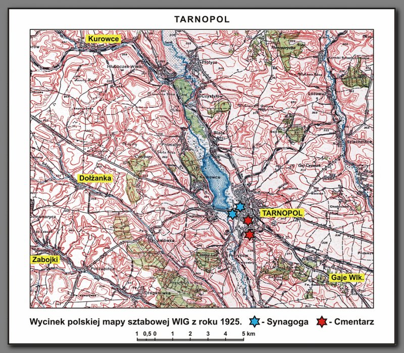 Okolice Tarnopola w r. 1925 – wyróżniono na żółtym polu nazwy miejscowości, z których dokonano ekshumacji żydowskich żołnierzy na nowy cmentarz żydowski w Tarnopolu w okresie XII 1926 – V 1927 r. (oprac. autor)